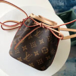 Louis Vuitton Nano Noe M41346 Brown